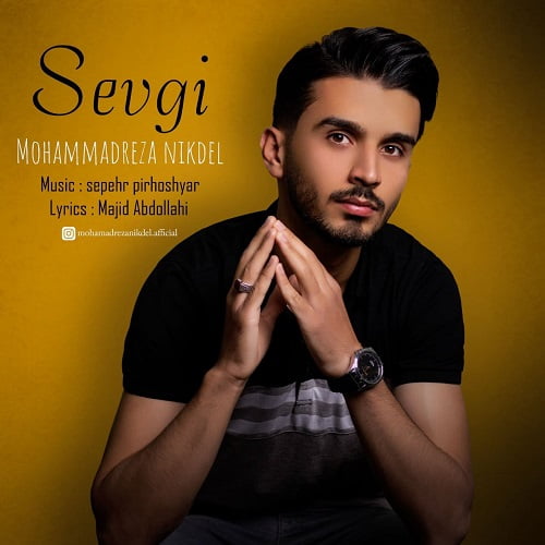 محمدرضا نیکدل سئوگی